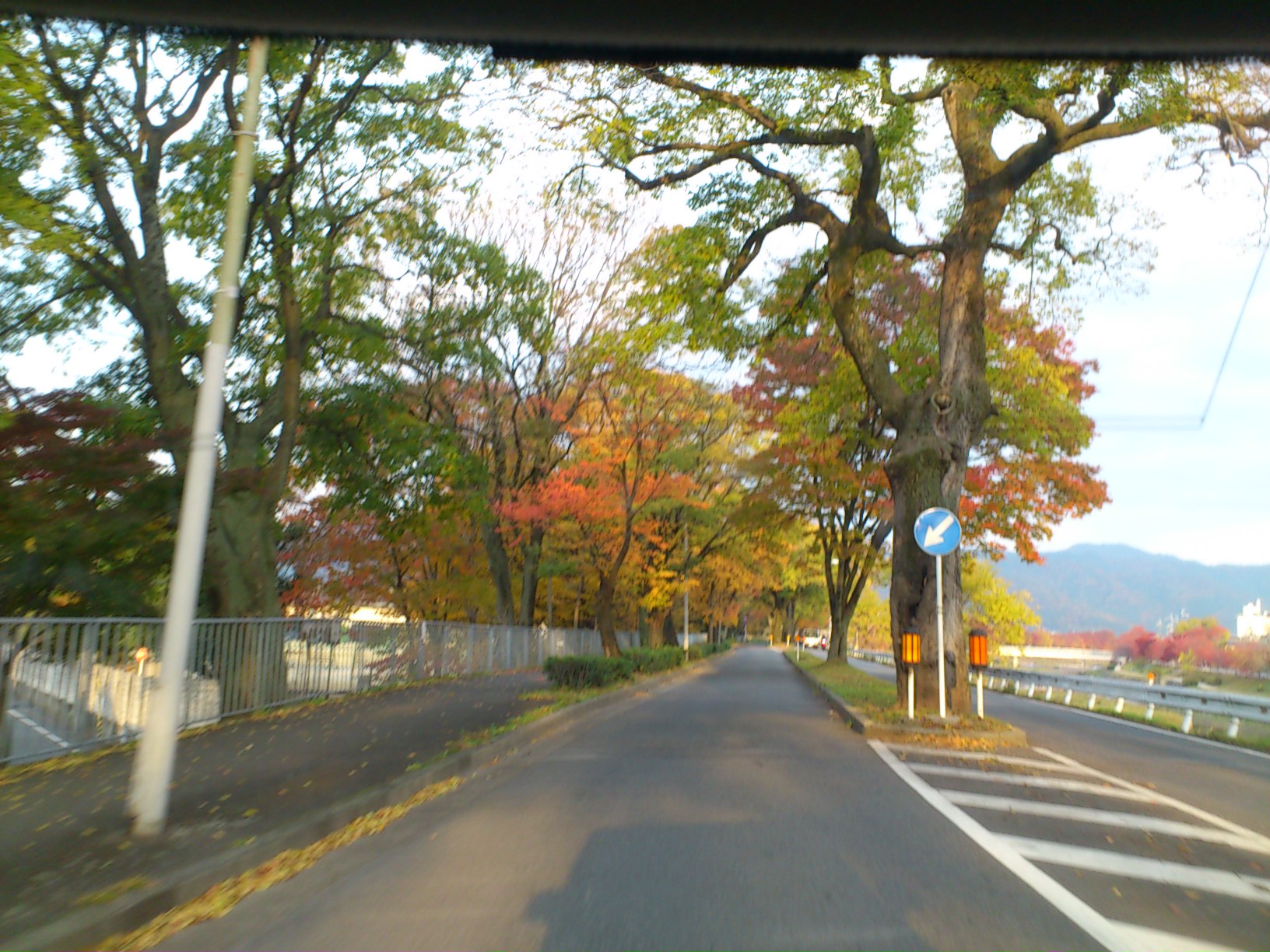 e0128024_929597.jpg