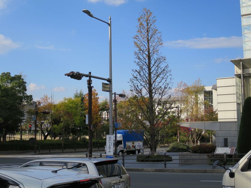 e0153425_15532693.jpg