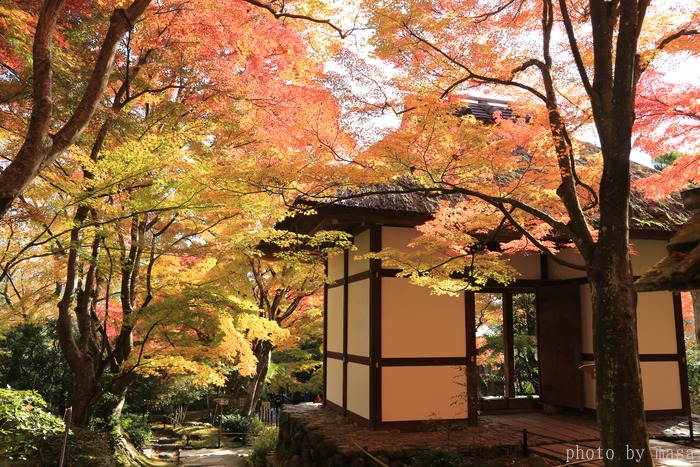 古都の秋～常寂光寺　Ⅱ_d0283427_17173539.jpg