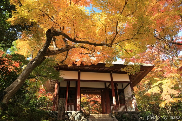 古都の秋～常寂光寺　Ⅱ_d0283427_17182173.jpg