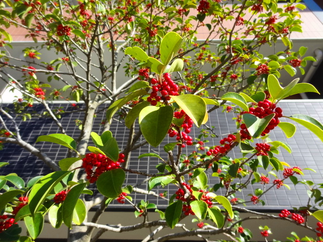 e0016828_10373025.jpg