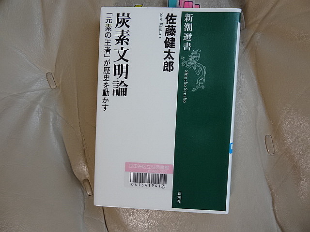 人類の明日は炭素にある　佐藤健太郎｢炭素文明論　『元素の王者』が歴史を動かす」_e0016828_9552518.jpg