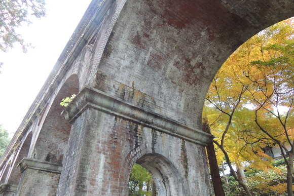 b0060029_8121226.jpg