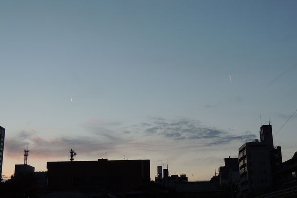 b0060029_837266.jpg