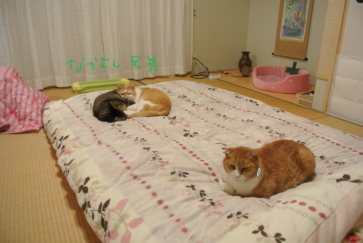 a0099131_0581690.jpg