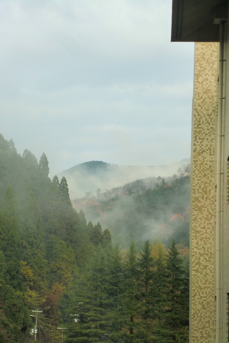 c0236632_826733.jpg
