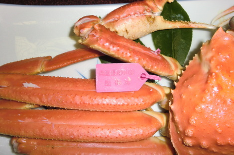 c0236632_85178.jpg