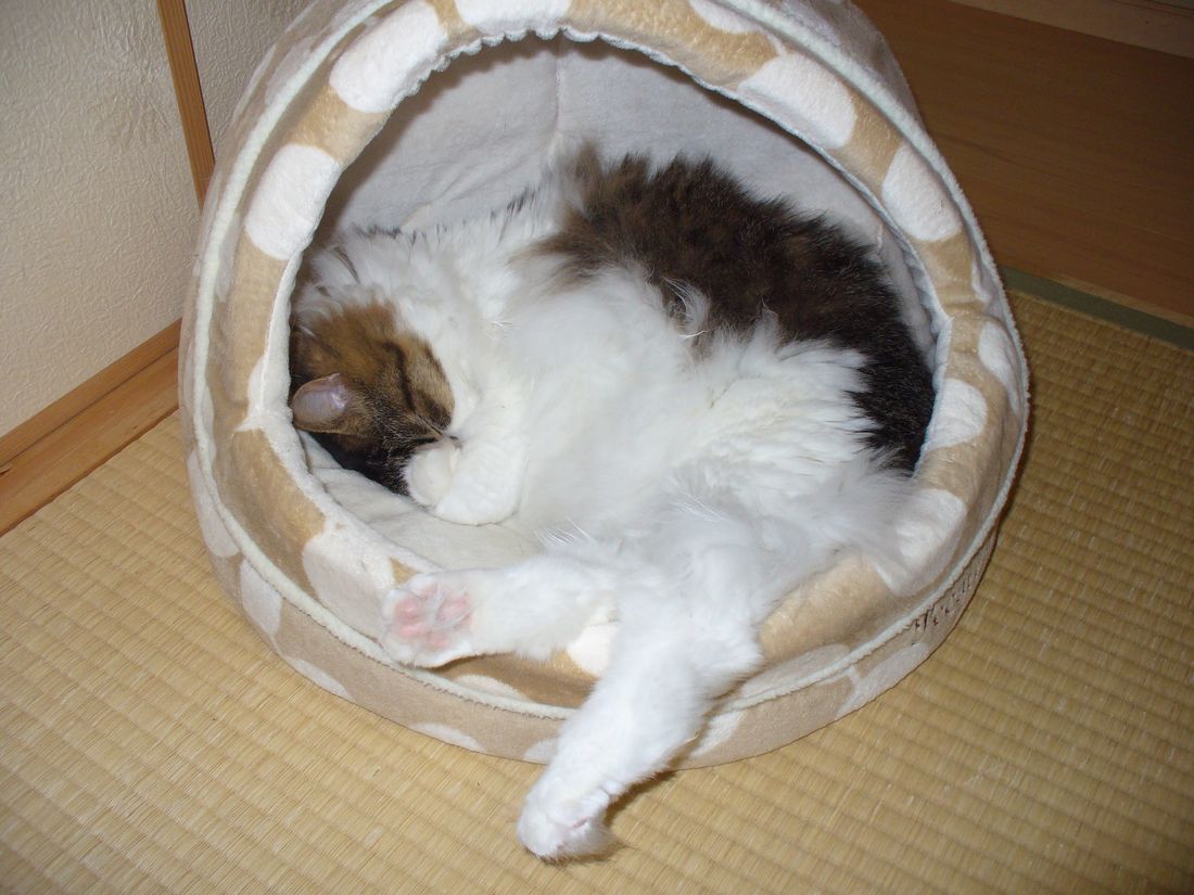 f0275632_2103417.jpg