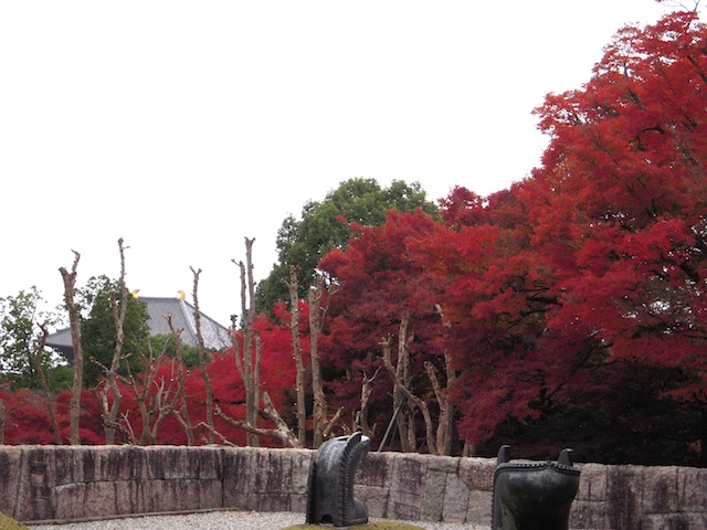 b0025633_21193772.jpg