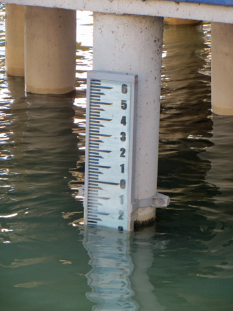 トラジメーノ湖と水鳥たち_f0234936_2344170.jpg