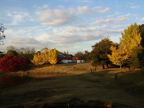f0209438_03742.jpg