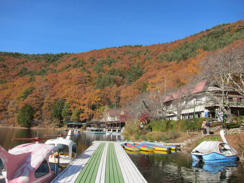b0178339_16515861.jpg