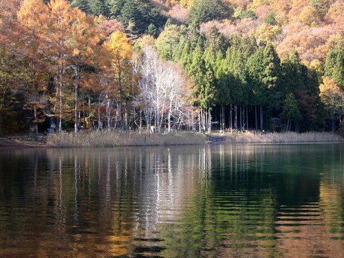 b0178339_16594658.jpg