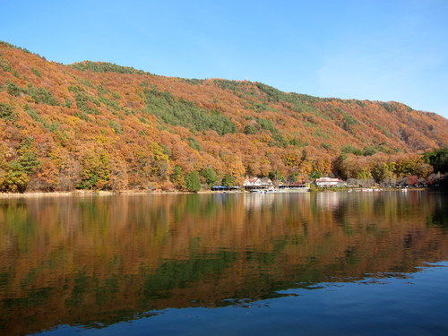 b0178339_1723553.jpg