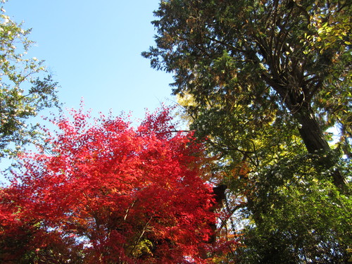 b0207341_17163044.jpg