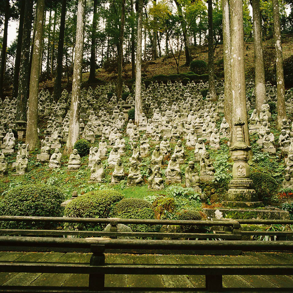 雷山千如寺 大悲王院（2013.11.20）　*2_e0262941_20481132.jpg