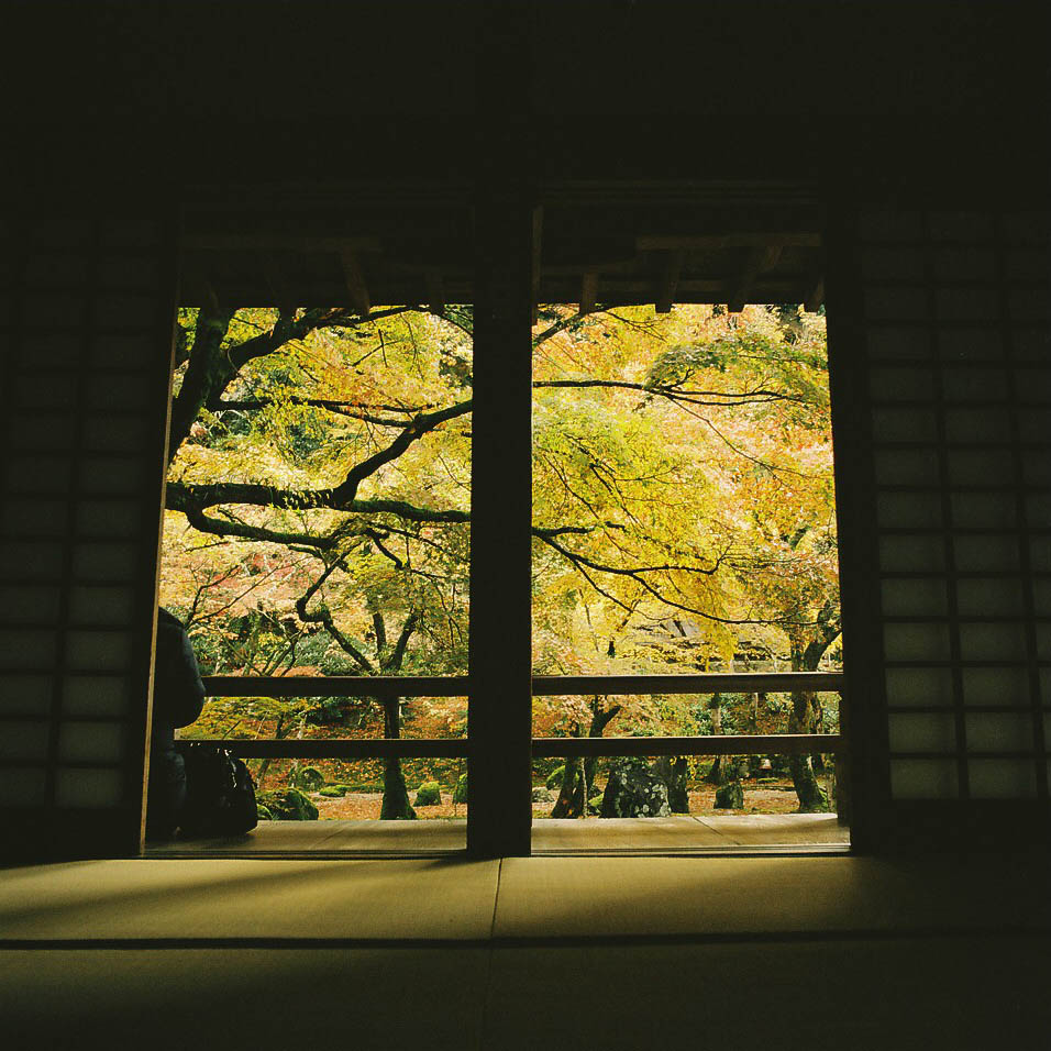 太宰府　光明禅寺（2013.11.20）　*1_e0262941_2154411.jpg