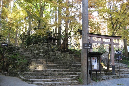 a0243143_1963630.jpg