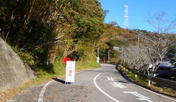 e0086244_95355.jpg