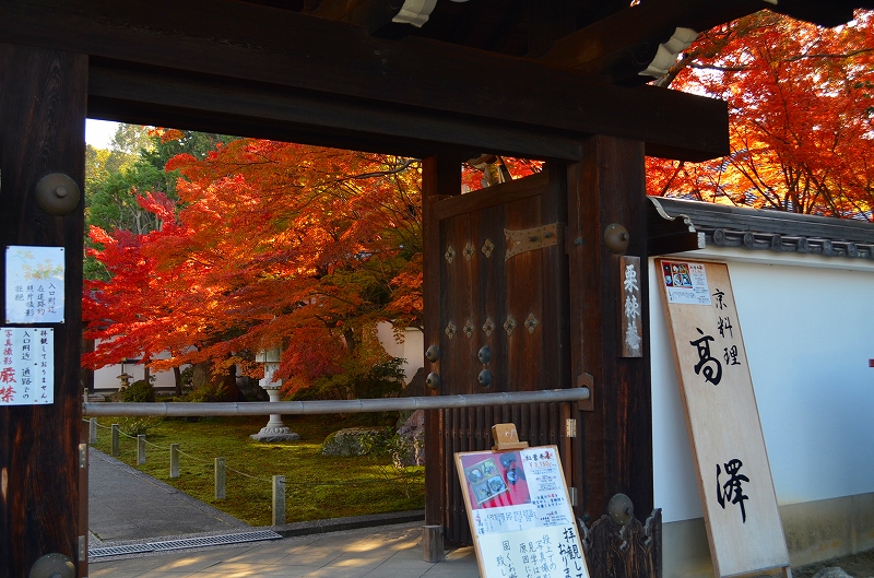 東福寺の紅葉・・・塔頭も見事でした。_e0237645_13243399.jpg