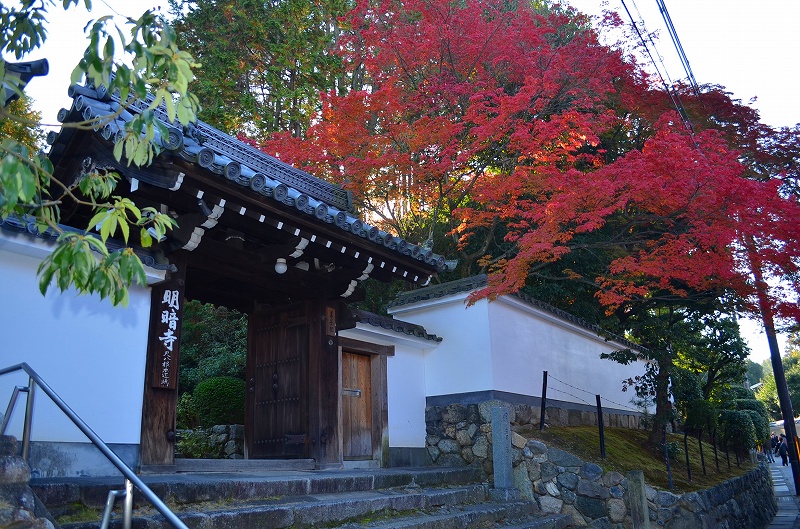 東福寺の紅葉・・・塔頭も見事でした。_e0237645_13245327.jpg