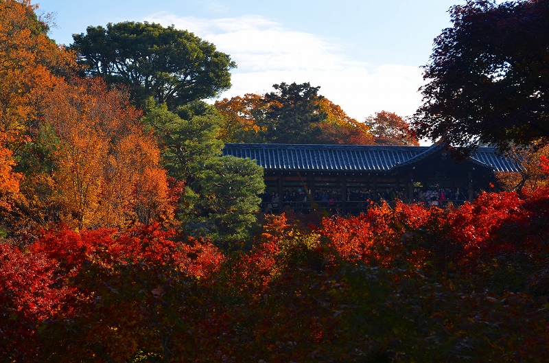 東福寺の紅葉・・・塔頭も見事でした。_e0237645_13252424.jpg
