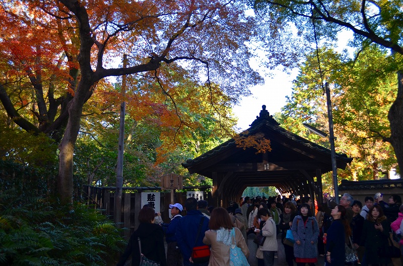東福寺の紅葉・・・塔頭も見事でした。_e0237645_13254110.jpg