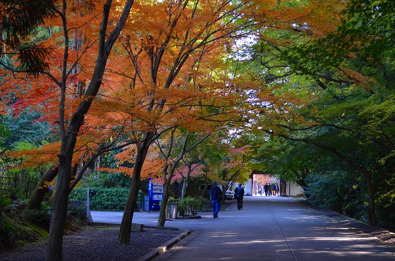 東福寺の紅葉・・・塔頭も見事でした。_e0237645_13323778.jpg