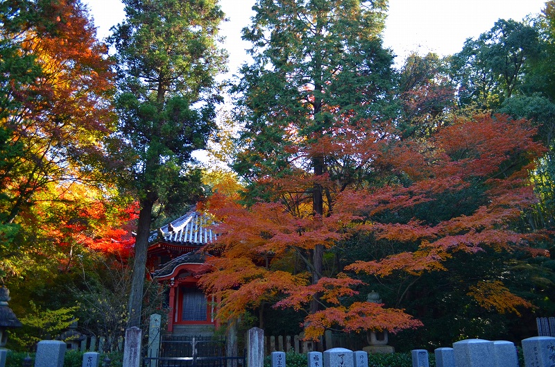 東福寺の紅葉・・・塔頭も見事でした。_e0237645_133427100.jpg
