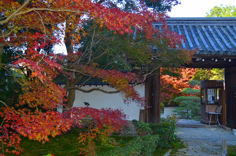 東福寺の紅葉・・・塔頭も見事でした。_e0237645_13415869.jpg