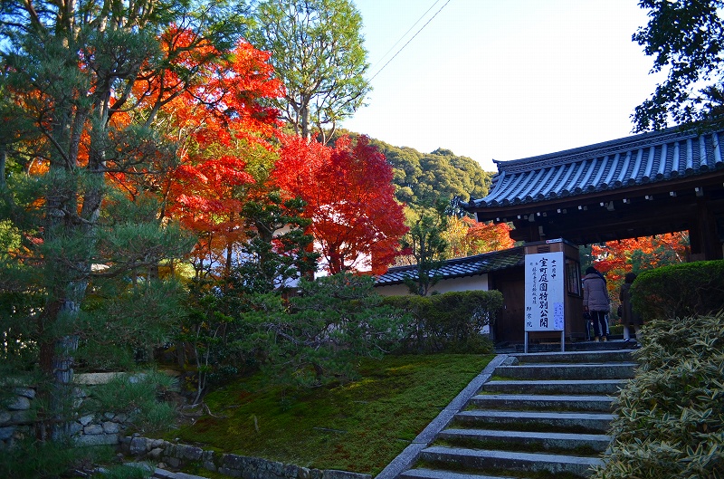 東福寺の紅葉・・・塔頭も見事でした。_e0237645_13435067.jpg