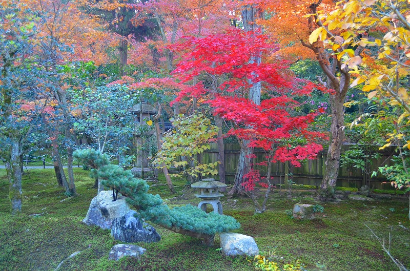 東福寺の紅葉・・・塔頭も見事でした。_e0237645_13442384.jpg