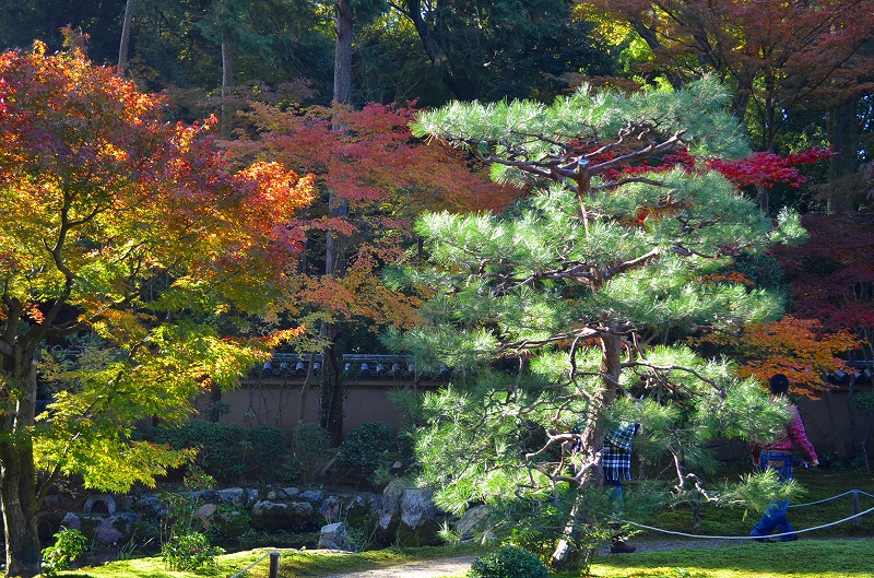 東福寺の紅葉・・・塔頭も見事でした。_e0237645_13443849.jpg