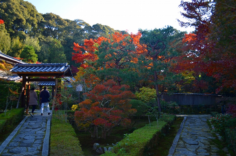 東福寺の紅葉・・・塔頭も見事でした。_e0237645_1344818.jpg