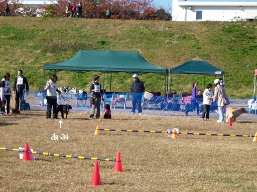 f0107145_20481728.jpg