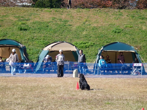 f0107145_20525861.jpg