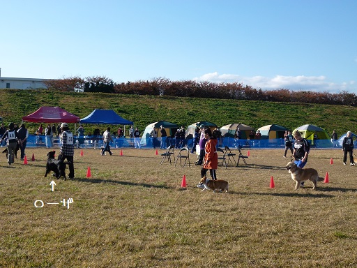 f0107145_215235.jpg
