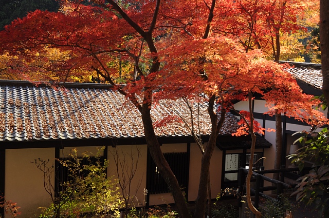 b0122448_20142410.jpg
