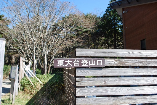 d0088348_17535235.jpg