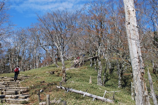 d0088348_1759626.jpg