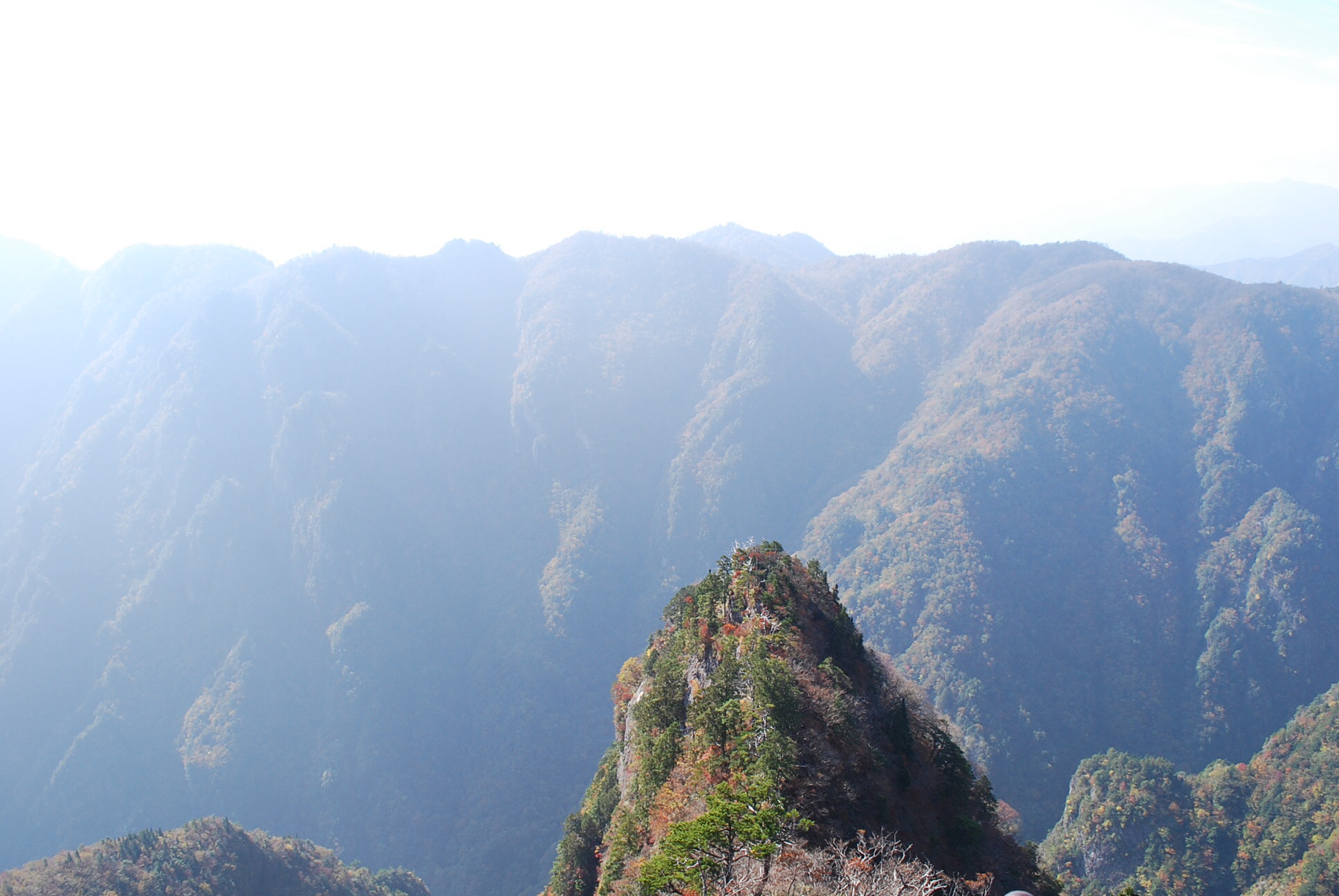 d0088348_18332667.jpg