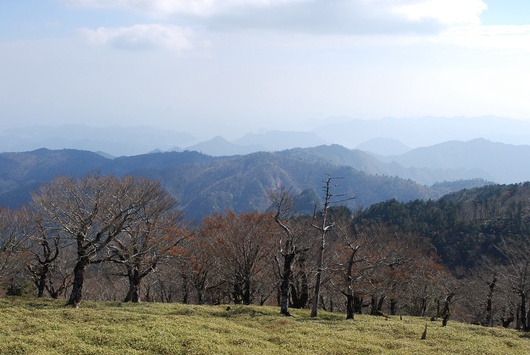 d0088348_1842719.jpg