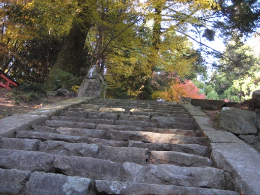 a0237349_1746266.jpg