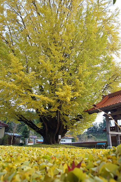 f0214649_21431883.jpg
