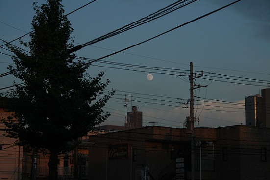 e0126350_113841100.jpg
