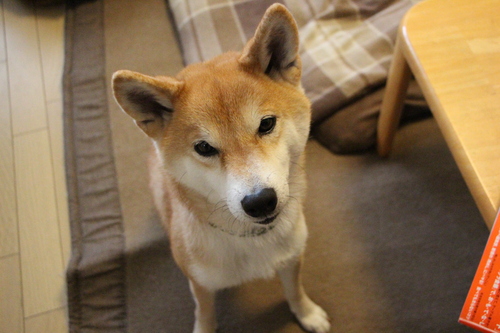 f0245650_924679.jpg