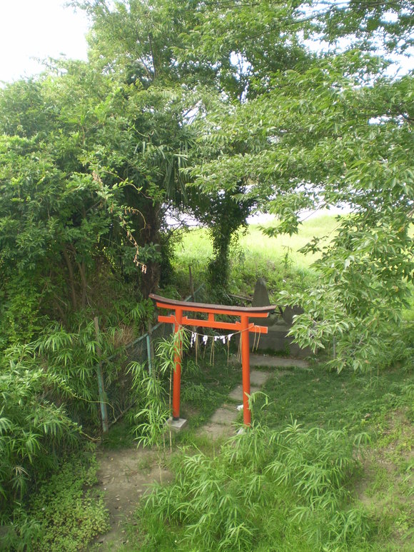 中世の国境地帯及び大河の川底を歩く～三郷・八潮間の旧中川河道_d0250051_1634458.jpg