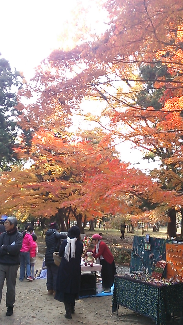 c0073152_2345395.jpg