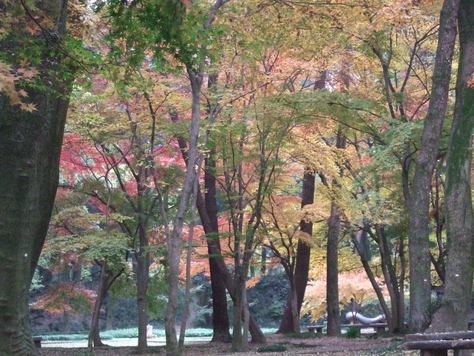c0111557_1846948.jpg