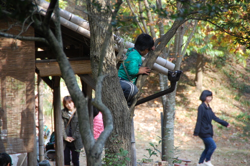 「きのくに子どもNPO」が孝子の森にやってっ来た by (TATE-misaki)_c0108460_39322.jpg